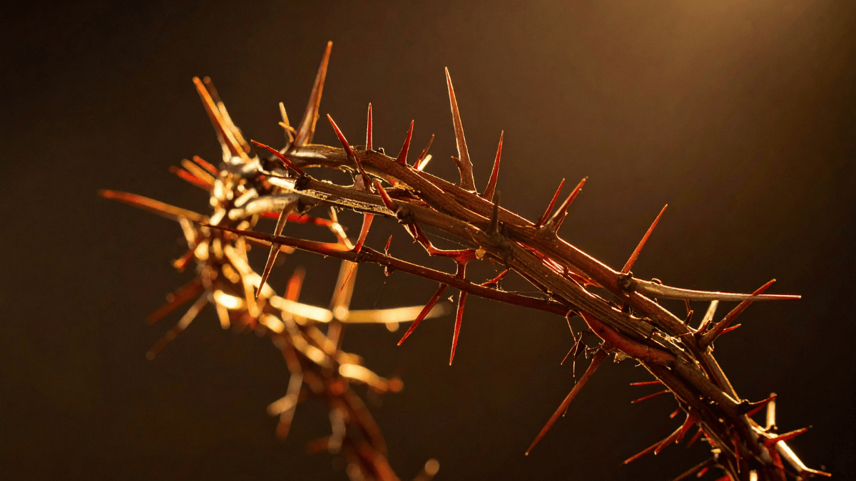 Reflexiones acerca de la resurrección de Cristo